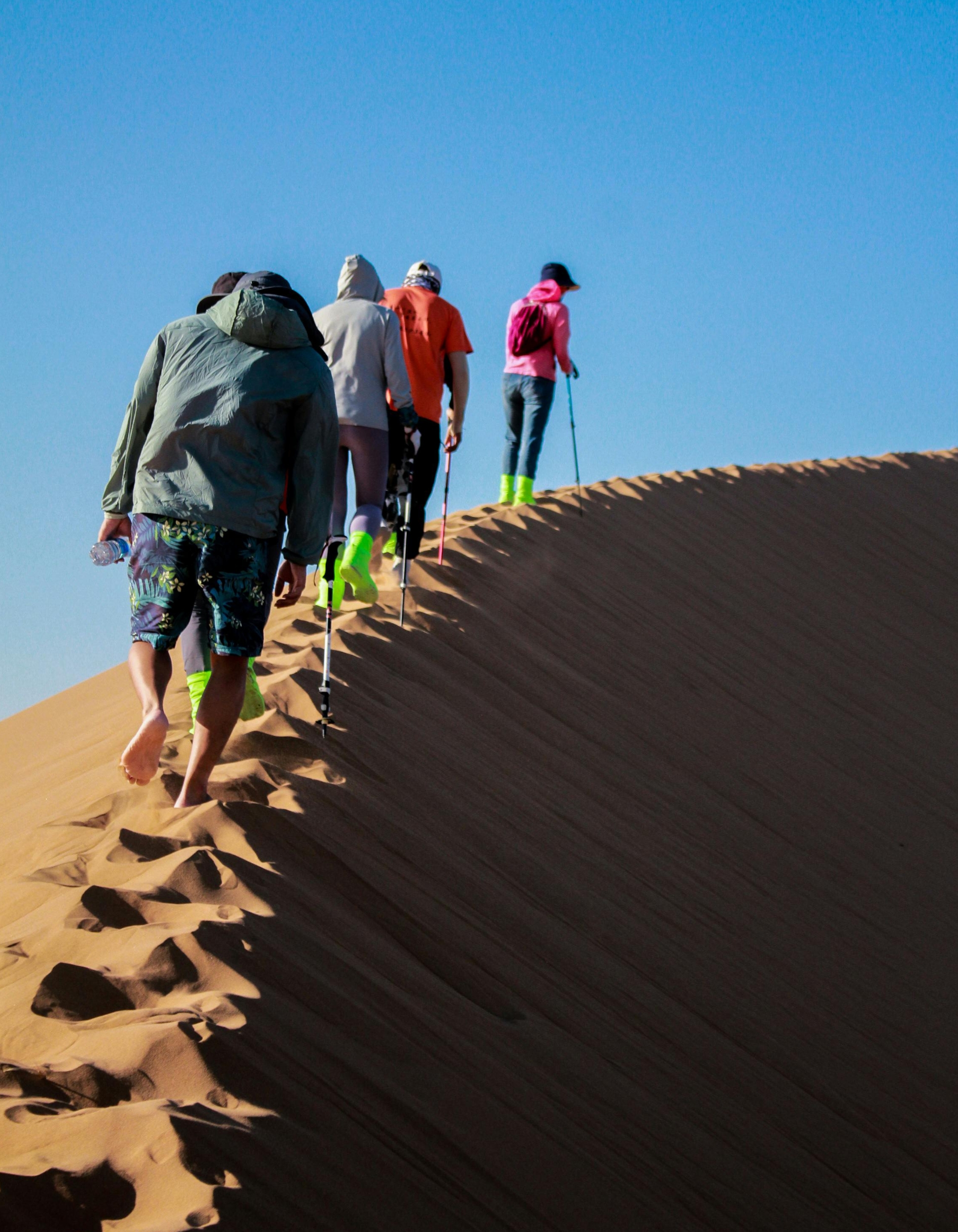 DESERT ACTIVITIES