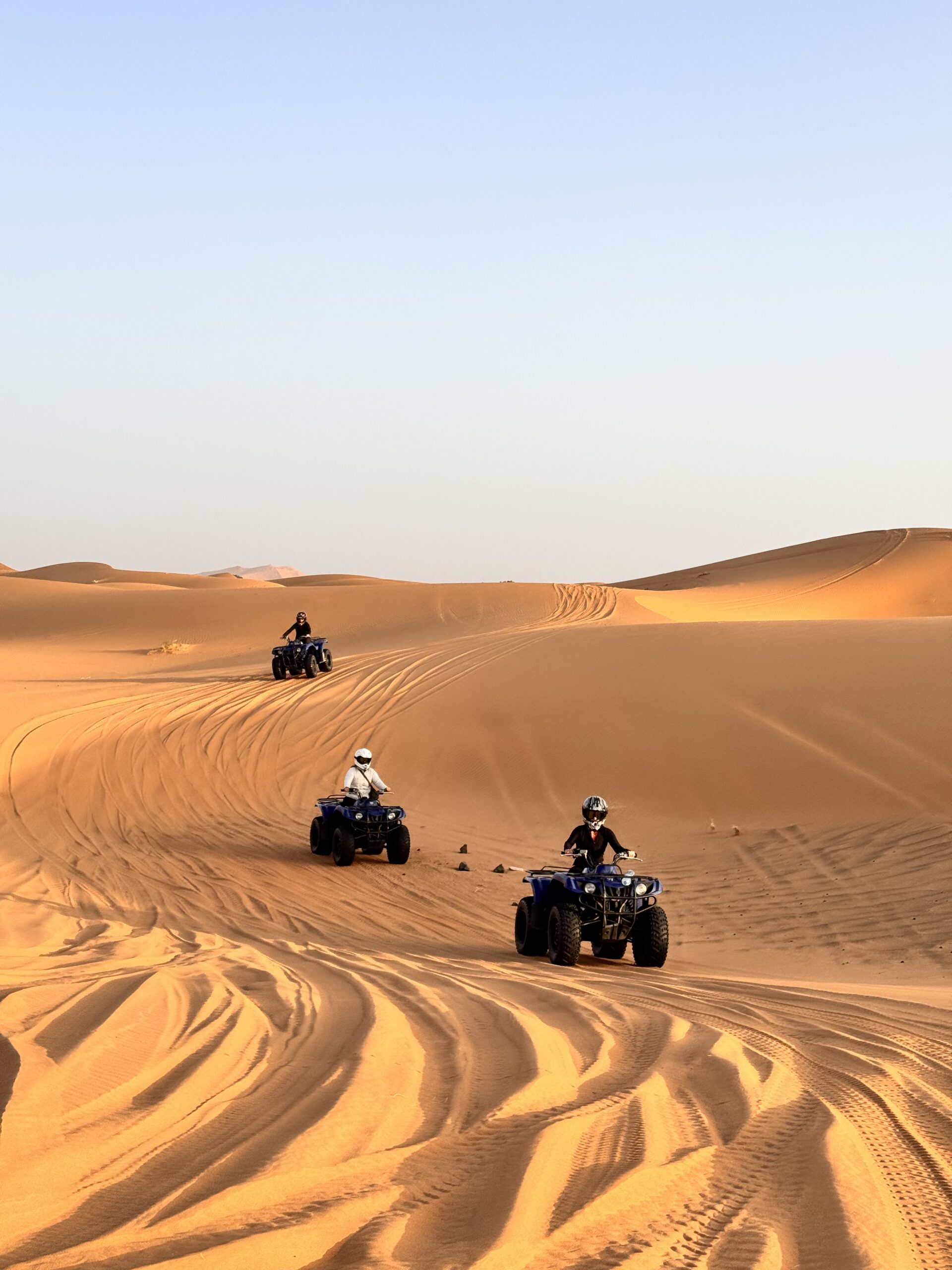 DESERT ACTIVITIES