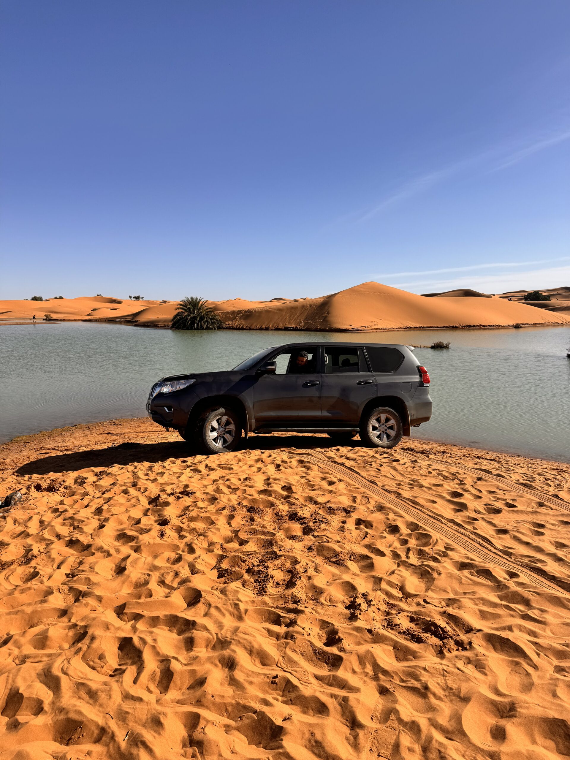 DESERT ACTIVITIES